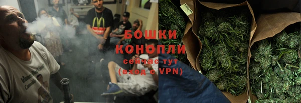 ПСИЛОЦИБИНОВЫЕ ГРИБЫ Алексин
