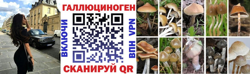Псилоцибиновые грибы Cubensis Тюмень